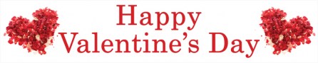 Seasonal Store Banner 4' x 20' Happy Valentine's Day