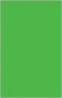 Fluorescent Card 3 1/2x5 1/2 Blank Green