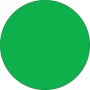 Fluorescent Label Blank 3in Green 210 per roll