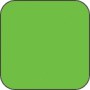 Fluorescent Label Blank Rectangle Green