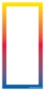 Elastic String Tag Border Multi Color